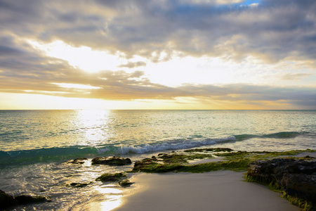 海和岩石与日落海滩布满藻类的 Bayahibe