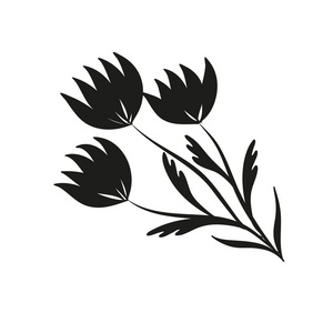 白底鲜花背景图剪影鲜花和绿草.白底黑照片