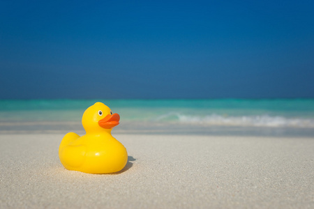 黄色的鸭子在热带海滩上。概念旅游和度假