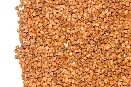 荞麦原料种子图片