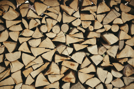 冬季砍伐木材