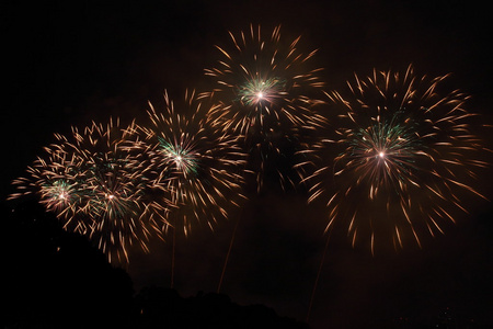 烟花在夜空中