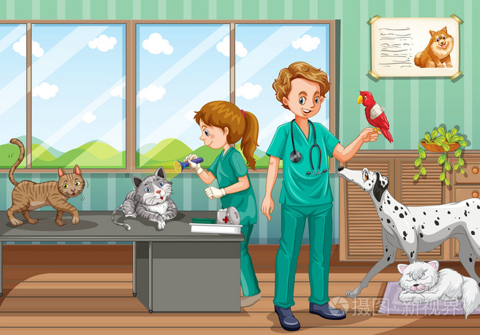 两个兽医治愈许多宠物诊所
