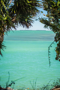 在佛罗里达的海滩和海洋美景