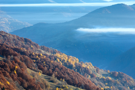 彩林秋山坡