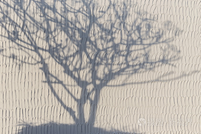 树涂改液白墙上的影子