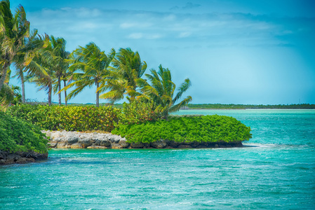 在佛罗里达的海滩和海洋美景