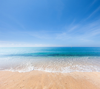 海滩和热带海