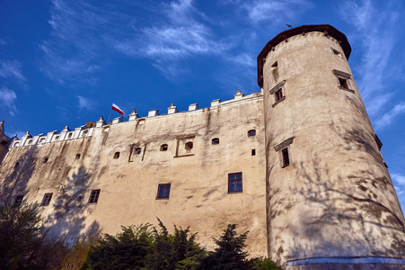 塔的中世纪堡垒