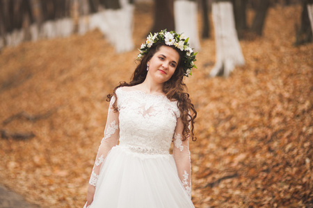 美丽的新娘在公园和森林秋天摆姿势