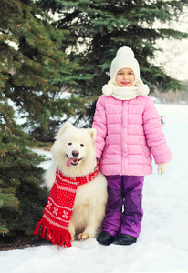 在附近在圣诞树上的红围巾白色萨摩耶狗的孩子