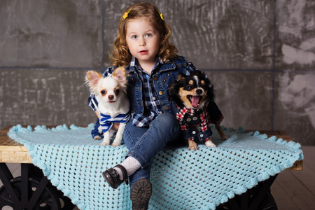 小女孩正坐在一起两个 chuhuahua 狗