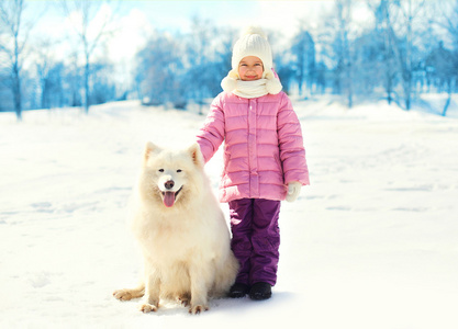 在冬季公园雪白色萨摩耶狗的孩子