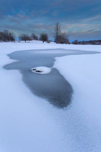 Snowd 景观在结冰的湖面