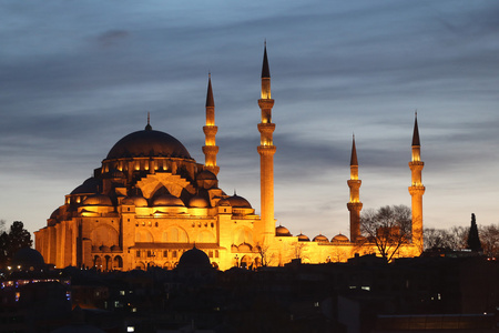 在土耳其伊斯坦布尔的苏莱曼清真寺