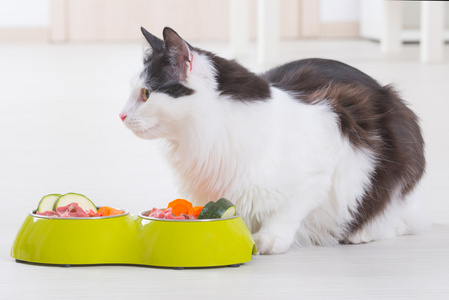猫从碗里吃天然食品