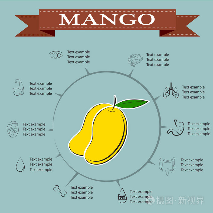 芒果信息图表,水果.矢量图