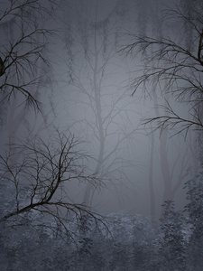 在一个黑暗的森林中的梦幻景色