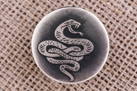 蛇智慧和活力,监护人生活,健康的象征照片