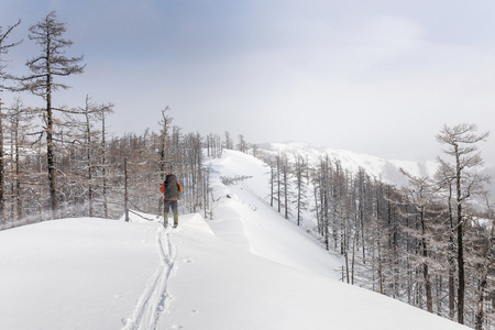 越野滑雪运动员沿着一条轨道上运行。明亮的阳光各位来宾
