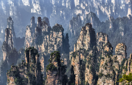 张家界国家森林公园 湖南省，中国