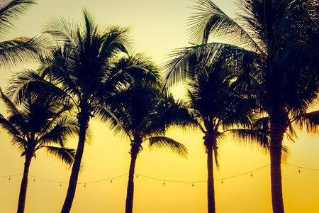 棕榈树和日落的剪影