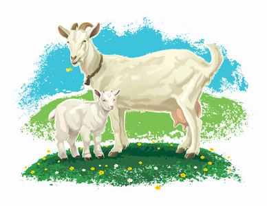 山羊和孩子图片