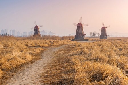 老木风车公园 韩国中的字段照片 正版商用图片1lh0z2 摄图新视界