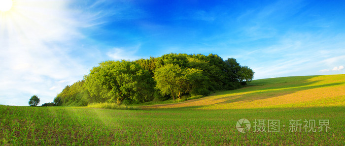 绿草与太阳夏天风景