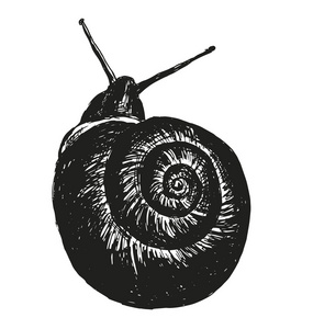 手绘蜗牛