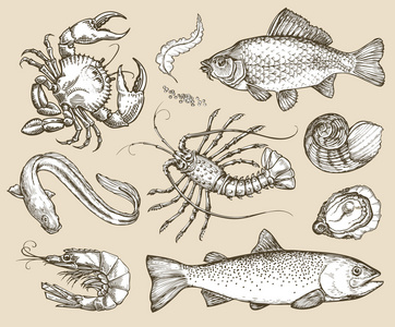 手的素描画设置海鲜.矢量图照片