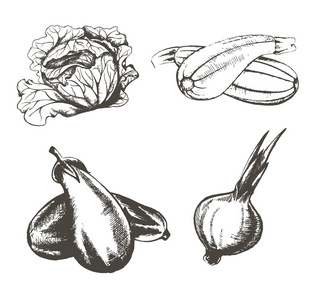 蔬菜在白色的背景下，cabb 的老式图像集
