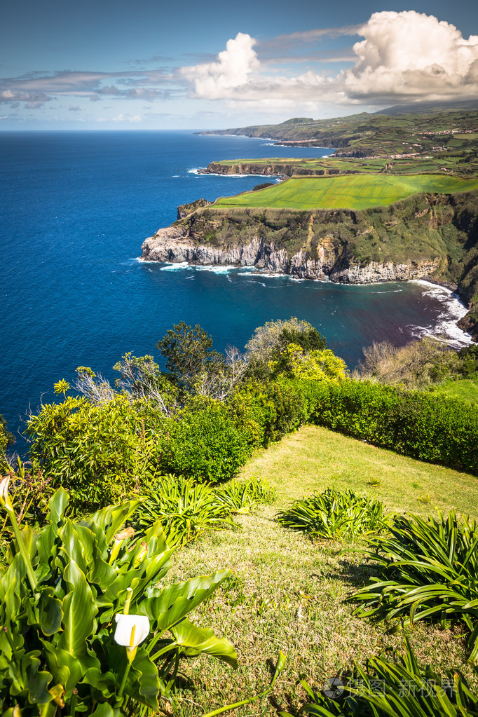 绿色的小岛骚miguel大西洋亚速尔群岛葡萄牙