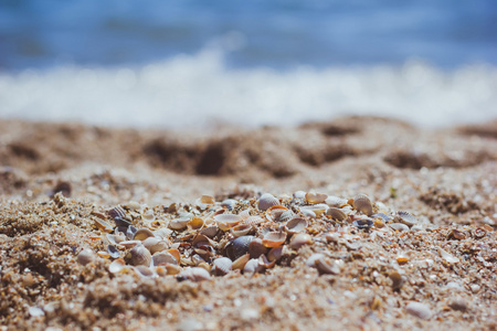 在蓝海海岸的贝壳。夏天。娱乐。假期。海景