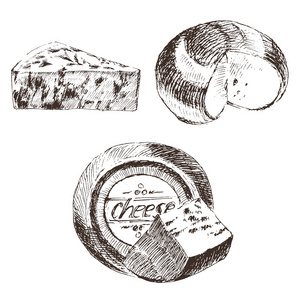 矢量奶酪素描绘图设计器的模板.农场的食物集合.手画的乳制品照片