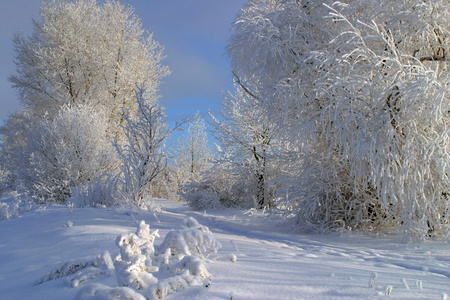 下雪的冬天俄罗斯