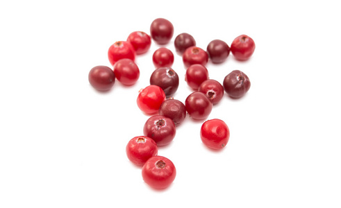 小红莓水果食物