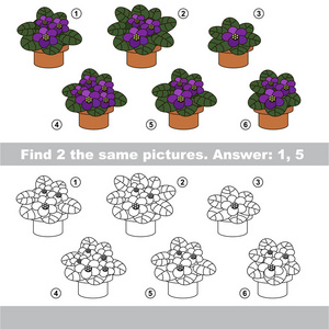 视觉的游戏。找到隐藏的夫妇的紫罗兰