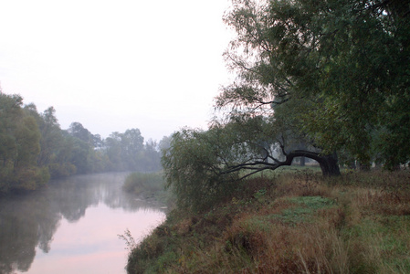 雾在河上的黎明