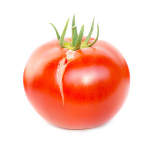 红色新鲜番茄