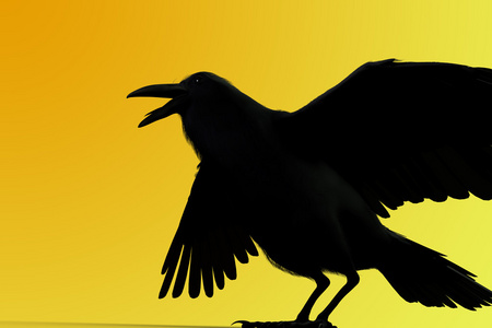 yellowbackground 一个孤立的黑乌鸦