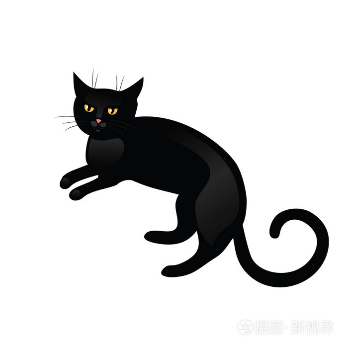孤立在白色背景上的黑猫