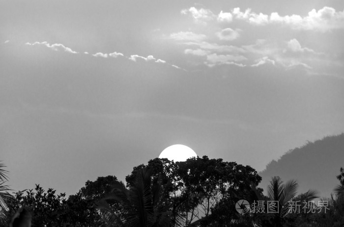 日出,树影黑白分明