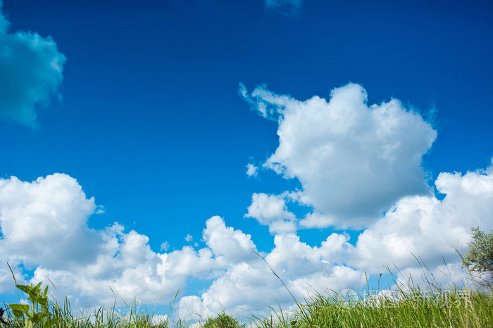 天空和草地阳光明媚的日子