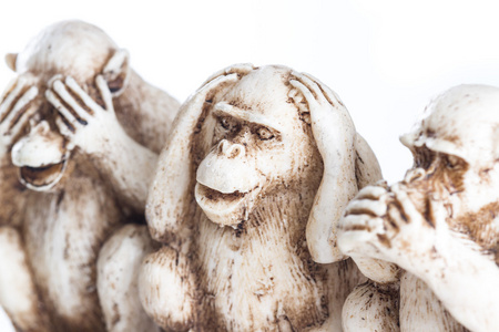 在海滩上的猴子恶人的猴子肖像在海滩上的猴子三个聪明的猴子非礼勿视