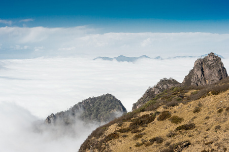 在云海山