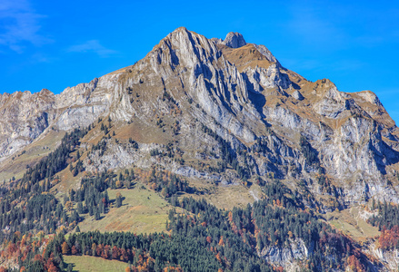 在秋天的山 Scheideggstock