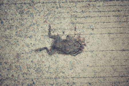 胃腐烂图片-胃腐烂素材-胃腐烂插画-摄图新视界