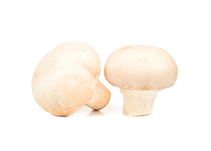 原始的蘑菇香菇