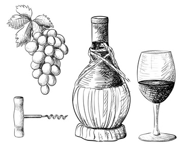 葡萄酒收藏。矢量图和酒桶，酒玻璃，葡萄，葡萄枝。手绘矢量
